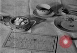 Image of fly-disease carrier United States USA, 1924, second 27 stock footage video 65675070774