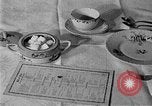 Image of fly-disease carrier United States USA, 1924, second 29 stock footage video 65675070774
