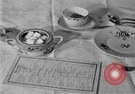 Image of fly-disease carrier United States USA, 1924, second 33 stock footage video 65675070774