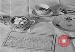 Image of fly-disease carrier United States USA, 1924, second 34 stock footage video 65675070774