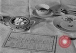 Image of fly-disease carrier United States USA, 1924, second 36 stock footage video 65675070774