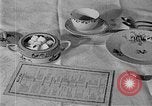 Image of fly-disease carrier United States USA, 1924, second 37 stock footage video 65675070774
