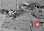 Image of fly-disease carrier United States USA, 1924, second 40 stock footage video 65675070774