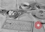 Image of fly-disease carrier United States USA, 1924, second 41 stock footage video 65675070774