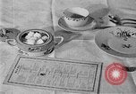 Image of fly-disease carrier United States USA, 1924, second 43 stock footage video 65675070774