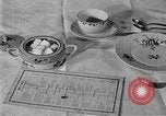 Image of fly-disease carrier United States USA, 1924, second 45 stock footage video 65675070774