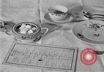 Image of fly-disease carrier United States USA, 1924, second 46 stock footage video 65675070774