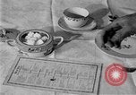 Image of fly-disease carrier United States USA, 1924, second 48 stock footage video 65675070774