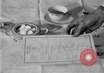 Image of fly-disease carrier United States USA, 1924, second 49 stock footage video 65675070774