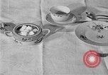 Image of fly-disease carrier United States USA, 1924, second 50 stock footage video 65675070774