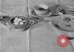 Image of fly-disease carrier United States USA, 1924, second 51 stock footage video 65675070774