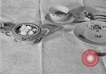 Image of fly-disease carrier United States USA, 1924, second 52 stock footage video 65675070774