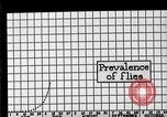 Image of fly-disease carrier United States USA, 1924, second 19 stock footage video 65675070775