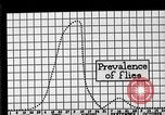 Image of fly-disease carrier United States USA, 1924, second 35 stock footage video 65675070775
