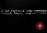 Image of fly-disease carrier United States USA, 1924, second 61 stock footage video 65675070776