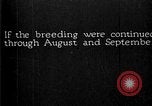 Image of fly-disease carrier United States USA, 1924, second 62 stock footage video 65675070776