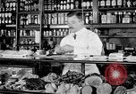 Image of fly-disease carrier United States USA, 1924, second 7 stock footage video 65675070777