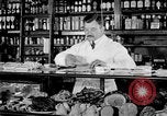 Image of fly-disease carrier United States USA, 1924, second 8 stock footage video 65675070777