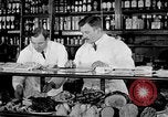 Image of fly-disease carrier United States USA, 1924, second 19 stock footage video 65675070777