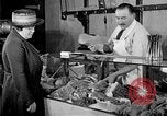 Image of fly-disease carrier United States USA, 1924, second 35 stock footage video 65675070777
