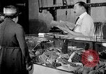 Image of fly-disease carrier United States USA, 1924, second 40 stock footage video 65675070777
