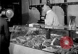 Image of fly-disease carrier United States USA, 1924, second 41 stock footage video 65675070777