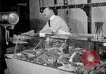Image of fly-disease carrier United States USA, 1924, second 42 stock footage video 65675070777