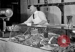 Image of fly-disease carrier United States USA, 1924, second 43 stock footage video 65675070777