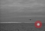 Standbild PBM Mariner Antarktischen Halbinsel, 1946, aus Sekunde 62 historischem Filmmaterial Videoclip 65675070788