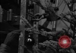 Standbild Weihnachten Programm Antarktischen Halbinsel, 1946, aus Sekunde 19 historischem Filmmaterial Videoclip 65675070790