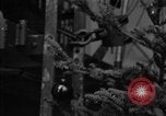 Standbild Weihnachten Programm Antarktischen Halbinsel, 1946, aus Sekunde 20 historischem Filmmaterial Videoclip 65675070790