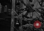 Standbild Weihnachten Programm Antarktischen Halbinsel, 1946, aus Sekunde 21 historischem Filmmaterial Videoclip 65675070790