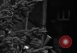 Standbild Weihnachten Programm Antarktischen Halbinsel, 1946, aus Sekunde 25 historischem Filmmaterial Videoclip 65675070790