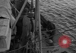 Immagine di USCGC Northwind Il Mare di Ross, 1947, secondo 12 filmato di repertorio 65675070791