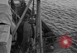 Immagine di USCGC Northwind Il Mare di Ross, 1947, secondo 14 filmato di repertorio 65675070791