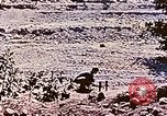 Image of Ercoupe airplane California United States USA, 1941, second 30 stock footage video 65675070800