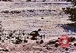 Image of Ercoupe airplane California United States USA, 1941, second 32 stock footage video 65675070800