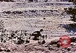 Image of Ercoupe airplane California United States USA, 1941, second 33 stock footage video 65675070800