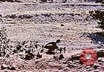 Image of Ercoupe airplane California United States USA, 1941, second 34 stock footage video 65675070800