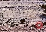 Image of Ercoupe airplane California United States USA, 1941, second 35 stock footage video 65675070800