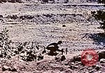 Image of Ercoupe airplane California United States USA, 1941, second 36 stock footage video 65675070800