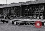 Image of hanging clothes Japan, 1949, second 24 stock footage video 65675070814