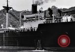 Image of Japanese repatriation Japan, 1949, second 32 stock footage video 65675070815