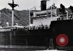 Image of Japanese repatriation Japan, 1949, second 35 stock footage video 65675070815