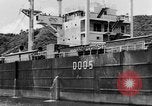Image of Japanese repatriation Japan, 1949, second 51 stock footage video 65675070815