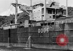 Image of Japanese repatriation Japan, 1949, second 52 stock footage video 65675070815