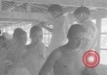 Image of Japanese repatriation camp Japan, 1949, second 31 stock footage video 65675070816