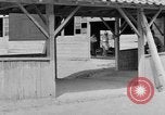 Image of Japanese repatriates Japan, 1949, second 17 stock footage video 65675070817