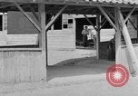 Image of Japanese repatriates Japan, 1949, second 18 stock footage video 65675070817