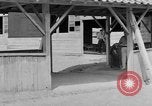 Image of Japanese repatriates Japan, 1949, second 19 stock footage video 65675070817